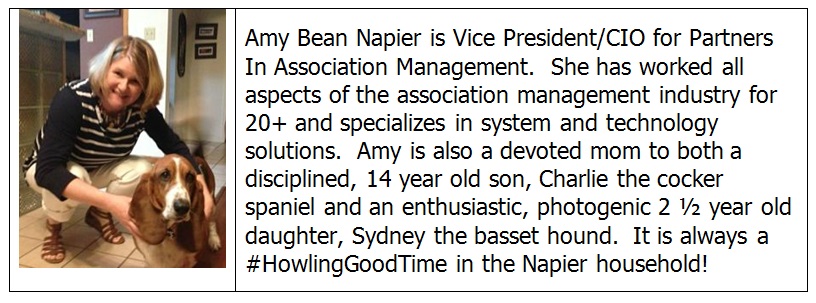2016 Amy Bean Napier